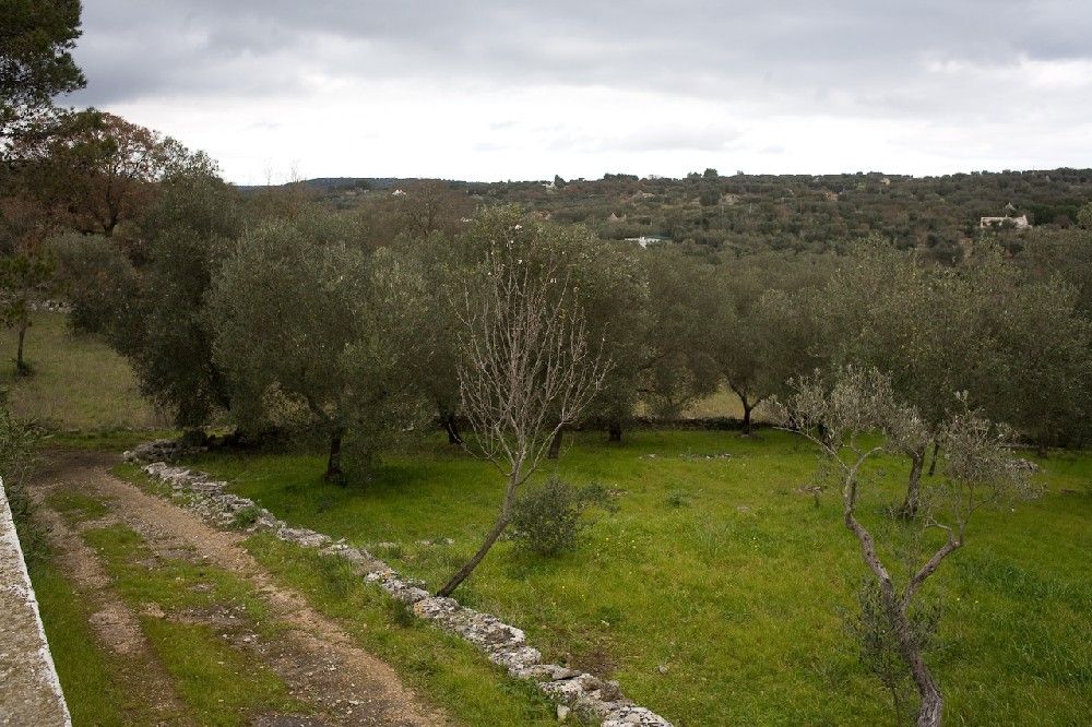 Casa rurale a Cervarolo - Ostuni - Cisternino